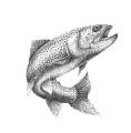 Big Sky Fishing Charters